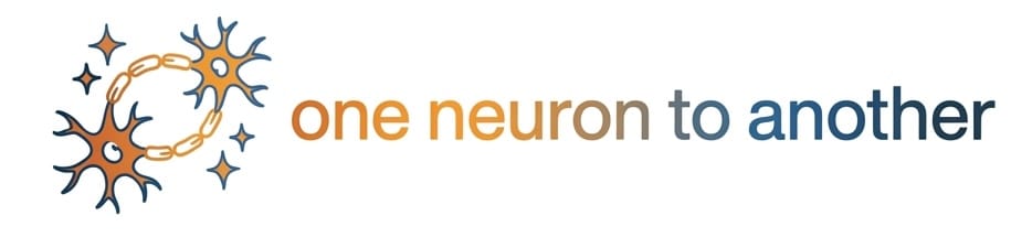 One Neuron To Another